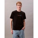 Calvin Klein Erkek Normal Kalıp Yuvarlak Yakalı Pamuklu Kısa Kollu Siyah T-Shirt LV04RC815G-UB1