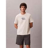 Calvin Klein Erkek Pamuklu Bisiklet Yaka Kısa Kollu Gri T-Shirt LV04RG815G-P4P