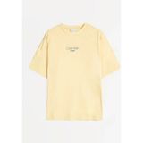 Calvin Klein Erkek Sarı Calvin Klein Ss 16S Rlxd Fıt Ckj Graphıc Tee Sarı Erkek Tişört