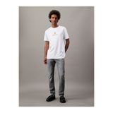 Calvin Klein Erkek Slim Gri Jeans