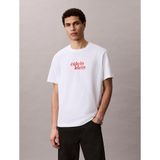 Calvin Klein Erkek Ss 20's Travel Font Grafik Detaylı T-Shirt - Açık Beyaz - M