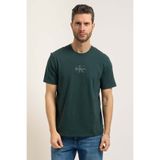 Calvin Klein Jeans Erkek Tişört LV04RB866G