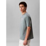 Calvin Klein Jeans Gri Erkek Standart Baskılı T-Shirt LV04RE827G5K3 Gri T-Shirt