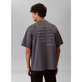 Calvin Klein Jeans Gri Erkek Standart Fit Baskılı T-Shirt LV04RE828GCKP Gri T-Shirt