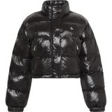 Calvin Klein Kadın Shıne Crop Puffer Jacket Siyah Uzun Kol Günlük Mont Normal Yaka LV047D504GUB1