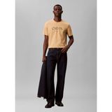 Calvin Klein Kahve Erkek T-Shirt LV04RE807G8Q6_SS 20S Ln Calvın Grap - XL
