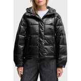 Calvin Klein Kapitoneli Loose Fit Kapüşonlu Parlak Şişme Mont LV047D505GUB1 Bayan Mont LV047D505G Ub1 - Siyah