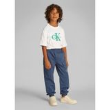 Calvin Klein Lastikli Bel Lastikli Paça Mavi Erkek Çocuk Kargo Pantolon IB0IB02270C8J - 8 Yaş