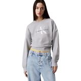 Calvin Klein ls monologo french terry rlxd cn Kadın Sweatshirt Heroic Grey Heather M