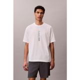 Calvin Klein LVGMS6K101 Erkek Tişört