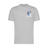 Calvin Klein Organik Pamuklu T-Shirt, L, LV04RC843G, Gri, Erkek