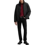 Calvin Klein Uzun Kollu Hafif Naylon Kapitone Erkek Ceket LV04LC506G-UB1 - Siyah - M