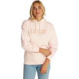 Calvin Klein varsity calvin klein hoodie Kadın Sweatshirt Silver Peony L
