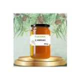 Çam Balı Muğla Bölgesi 850 gr