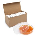 Cam Petri Kabı 90 mm - Petri Kutusu Petri Dish 10 Adetlik Set