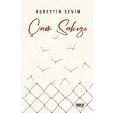 Çam Sakızı Gece Kitaplığı