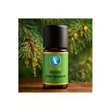 Çam Terebenti* Organik %100 Saf Uçucu Yağ 5Ml