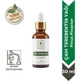 Çam Terebentin Uçucu Yağı 30 Ml. %100 Saf