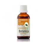 Çam Terebentin Yağı 50Ml
