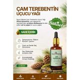 Çam Terebentin Yağı (Pinus Sylvestris) / 20 Ml