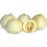 Çam Tohumculuk Elma Kavunu Tohumu 5 Adet Tohum Apple Melon Kavun Tohumu