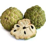 Çam Tohumculuk Tropikal Sugar Apple Meyvesi Tohumu 3 Adet Tohum Şeker Elma