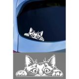 Cam Ve Metal Yüzeye Uygun Kendinden Yapışkanlı Kedi Oto Sticker, 15X15 Cm