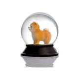 Cam ve Reçine Altın Patiler Köpek Pomeranian Boo (Kayısı) Kar Küresi Hediye - 0,35 lt