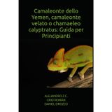 Camaleonte dello Yemen, camaleonte velato o chamaeleo calyptratus: Guida per Principianti