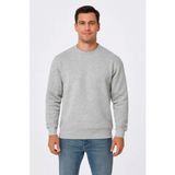Çamaşır Kenti Erkek Üç Iplik Düz Bisiklet Yaka Sweatshirt - Gri