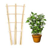 Cambaverd Doğal Bambu Yelpaze Şekilli Çit 60 cm (2 Ft) Bitkiler Tırmanma Bitkileri için Çit Çiti Hoya Bitkileri Sarmaşık Bitkileri Monstera Salatalık Çit ve Meyveler - 3'lü Çit Paketi