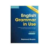 Cambride Scholars Publishing English Grammar In Use With Answers
