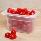 Cambro Yarı Saydam GN 1/9 65.17.6x10.8x10 cm Polipropilen Gastronom Küvet