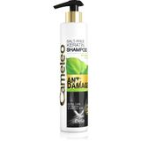 Cameleo BB 01 Damaged Hair Keratin 250 ml Şampuan