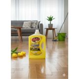 Can Bizim Yüzey Temizleyici 2,5 L (Lale Bahçesi) - 2,5L