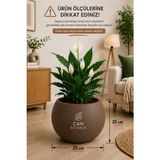 Can Botanik 20 cm Moka Renk Modern Yuvarlak Küre Saksı