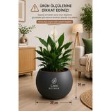 Can Botanik Antrasit 20 cm Küre Saksı Modern Şık Dekoratif Salon Saksı