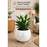 Can Botanik Şık Yuvarlak Dekoratif 20 cm Boş Saksı Modern Saksı Beyaz