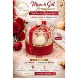 CAN Life Collection Özel Tasarım Şeffaf Kapaklı Hediye Mum