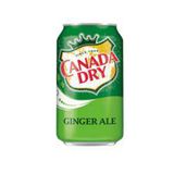 Canada Dry 330 ml Ginger Ale İçecek
