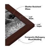 Canarino 10 Parça Maun Galerisi Duvar Resim Çerçevesi Seti 8X10, 5x7, ve 4x6. Kırılmaya Dayanıklı Cam. Duvar Veya Masa Için Resim Çerçeveleri - Asma Donanımı ve Şövale Stantları Dahildir - -- - Option-1