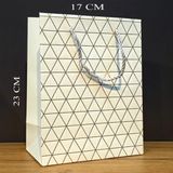 Canarino Beyaz Geometrik Desenli Orta Boy Karton Hediye Çantası