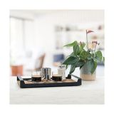 Canarino Küçük Ham Renk Servis ve Sunum Tepsisi, Metal Kulplu Ahşap Tepsi - 42X22,5 cm - Kestane Akaju - Option-1