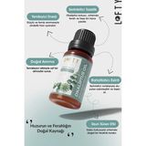 Canarino Lofty Okaliptus Saf Uçucu Yağ (10ML) -%100 Doğal Esansiyel Yağ | Uyku, Rahatlama ve Aromaterapi Için Buhurdanlık ve Difüzör Yağı - 001-Renkli - 100 x 100 cm