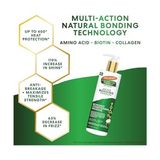 Canarino Palmer's Amino Bonding Complex Saç Maskesi, Hindistan Cevizi Yağı ve E Vitamini Içeren Yoğun Bakım Maskesi, Isı Koruyucu, Kabarma Önleyici, Parlaklık Katar, Saç Büyümesini Korur, Tüm Saç Tipleri, 12 - Option-1