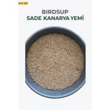 Canary Birds Up Sade Kanarya Yemi 25Kg