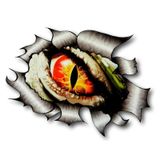 Canavar Göz Araba Oto Sticker Yapıştırma