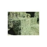 Canbay Doğal Ürünler 3 Kg Kuru Yonca Otu, Kemirgen Otu (Chinchilla, Tavşan, Ginepig, Hamster İçin)