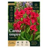CANBOTANİK Kanna tesbih çiçeği kırmızı empire canna