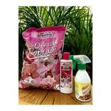 CANBOTANİK Orkide Toprağı 3 Litre Orkide Bitki Besinil Çiçek Bitki temizleyici İlacı 250 ml